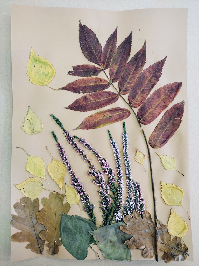 Jakub Frąckowiak, klasa 7c.jpg